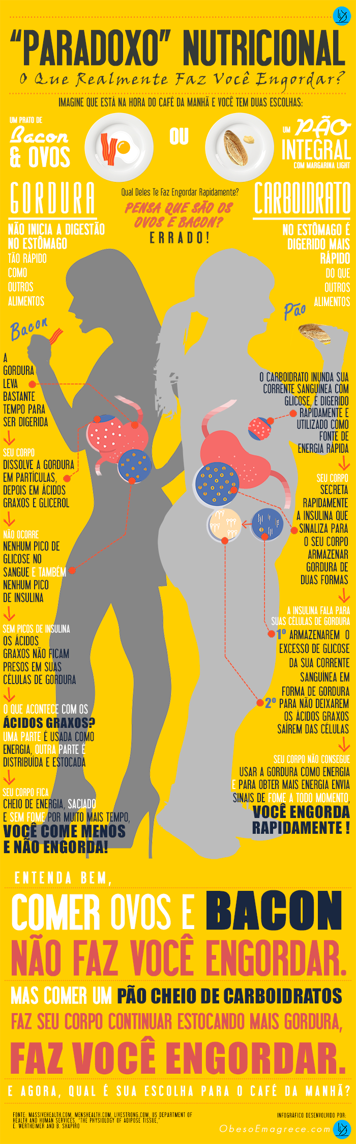 [Infográfico] Paradoxo Nutricional: O Que Realmente Faz Você Engordar?