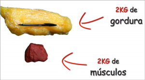 musculação emagrece - imagem comparando espaço ocupado por 2kg de gordura contra 2kg de músculo