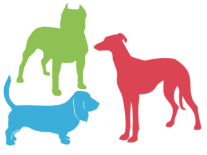 tipos de corpo - representação gráfica diferentes tipos de cachorros